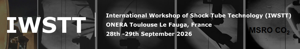 IWSTT 2026 - Registration payment